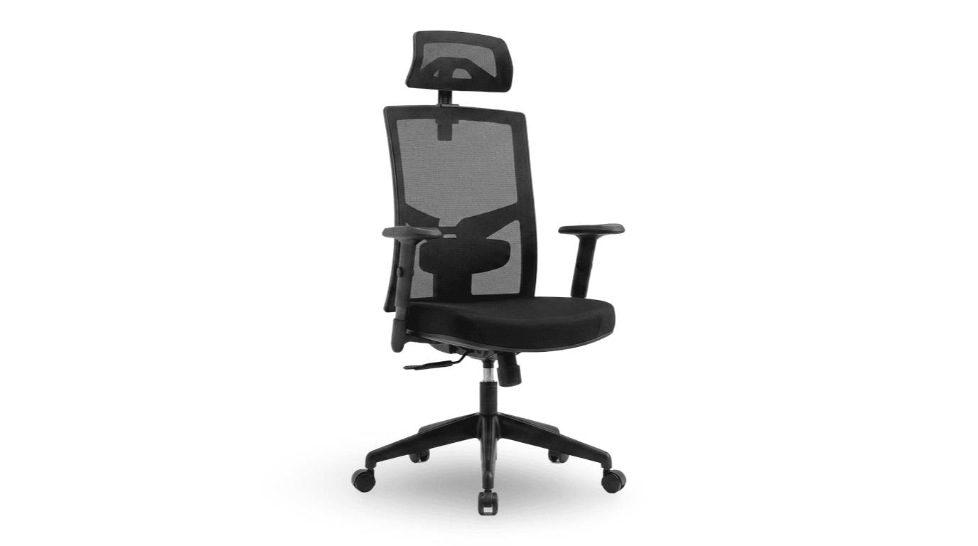 Ergonomic Office Chair Giveaway