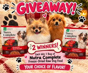 A Bag Of Nutra Complete Freeze-Dried Raw Dog Food
